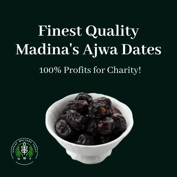 madina-ajwa-dates